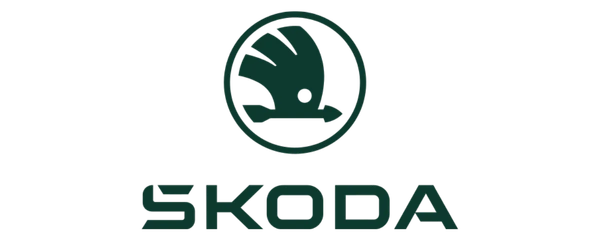 Skoda — Raj Electricals client